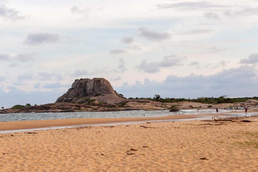 Ella: Transfer to Tangalle/Mirissa/Galle & Yala Safari Tour - The real cost: $12 plus the park fee