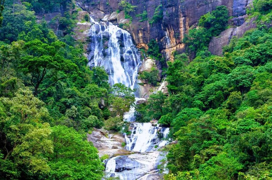 Ella: Waterfall Hunter Guided Tour with Lunch - What the $80 price really covers