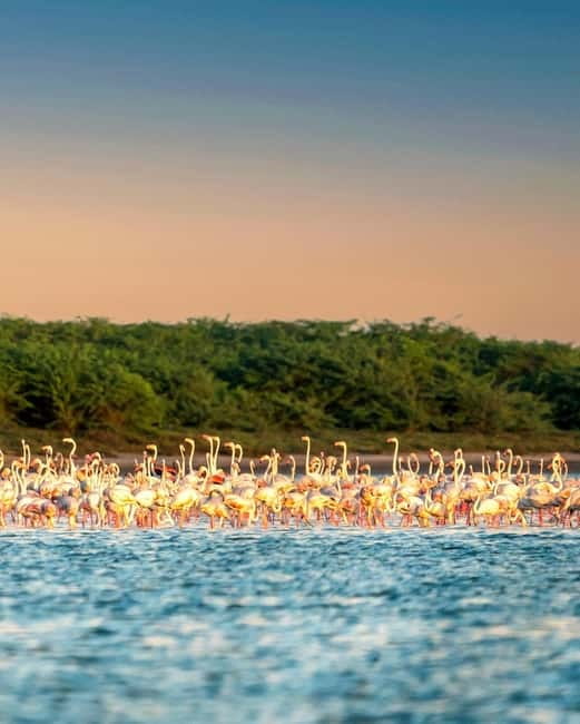 Ella : Yala Safari Drop : Arugambay / Arugam bay / Pottuvil - Who will get the most from this safari?