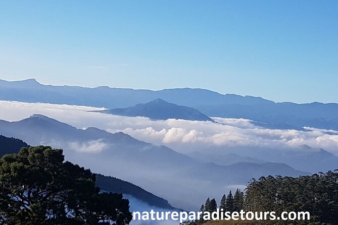 Exclusive knuckles Camping Tour from kandy - Key points to know before booking