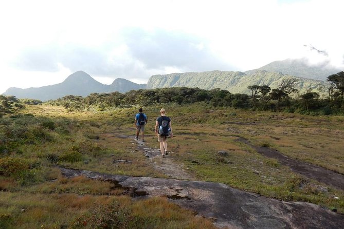Exclusive knuckles Camping Tour from kandy - The high plateau and picnic by the water