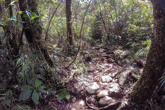 Exclusive knuckles Camping Tour from kandy - Downhill to the eastern base camp