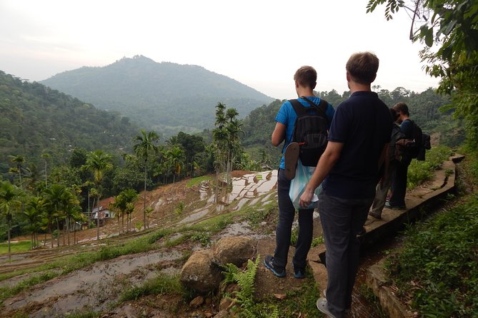 Exclusive knuckles Camping Tour from kandy - Day two through cloud trees and swimming pools