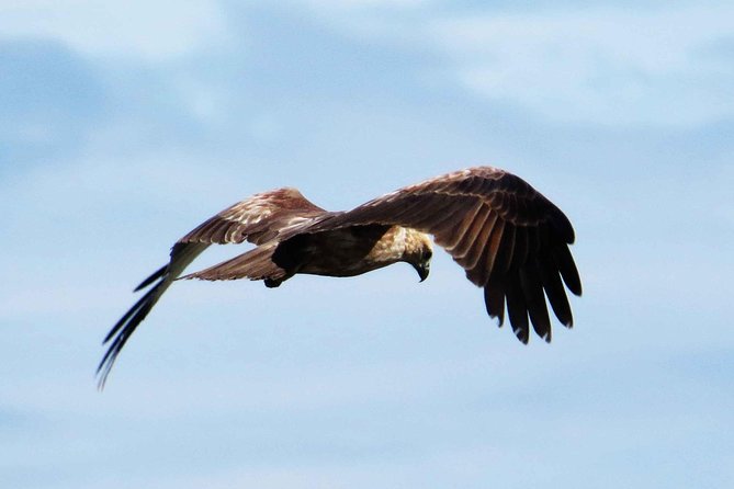 Exclusive: Muthurajawela Bird Watching Tour with Transfers - The tuk-tuk ride from Negombo
