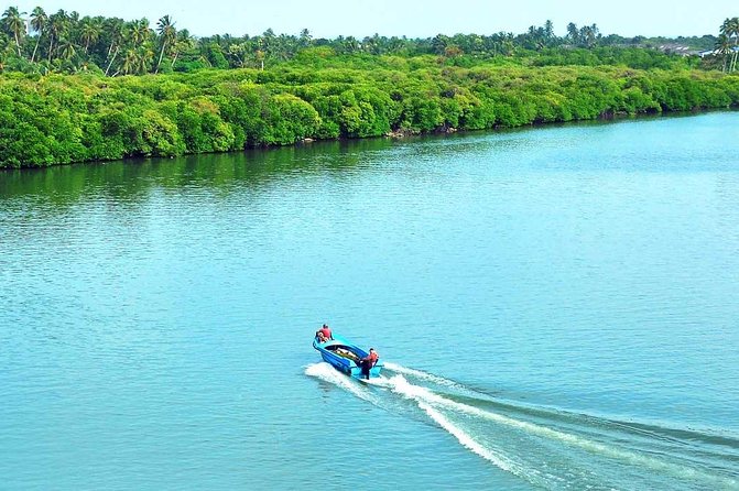 Exclusive: Muthurajawela Bird Watching Tour with Transfers - The guide and skipper make the difference
