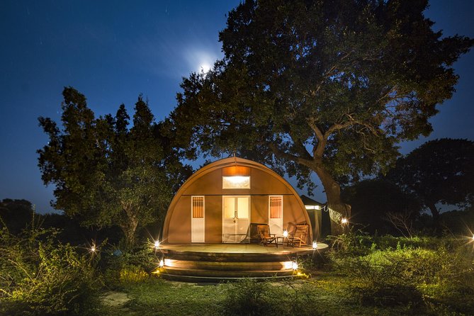 Exclusive : Overnight Leopard Safari with Luxury Glamping - Why an overnight stay changes Yala