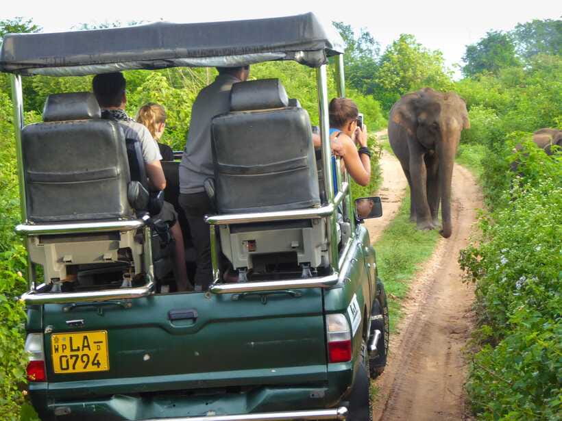 Exclusive: Private Yala Safari & Village Tour with Lunch - Reaching Yala through Sri Lanka’s dry zone