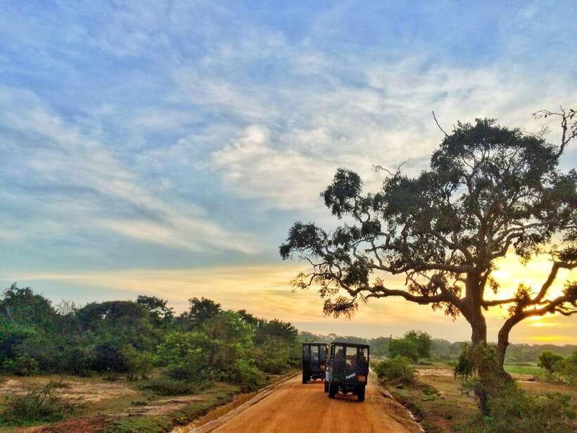 Exclusive: Private Yala Safari & Village Tour with Lunch - Inside Yala National Park: three hours of searching
