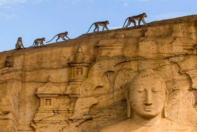 Exclusive: Sigiriya Fortress & Polonnaruwa Guided Tour - Who should book this experience?