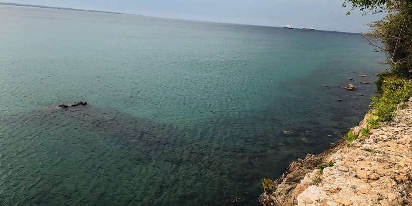 Explore beautiful trincomalee with a tour guide - Key Points Before You Book