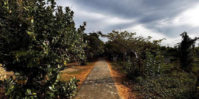 Explore beautiful trincomalee with a tour guide - Konesveram Temple and the View Over Trincomalee