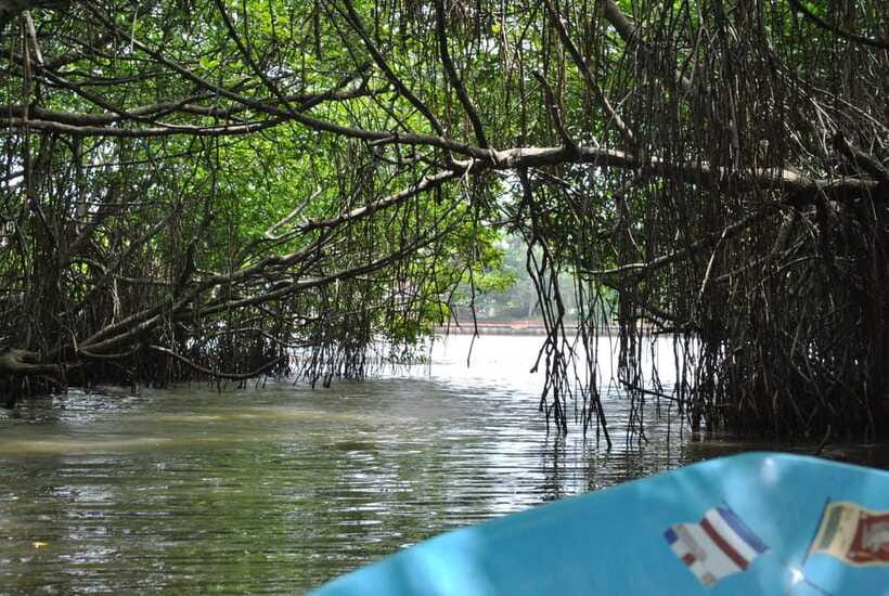 Explore Bentota River:Safari Tour with Hotel Pickup&Drop-off - How to get the most from the two hours