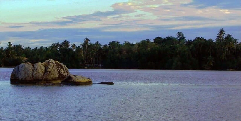 Explore Bentota River:Safari Tour with Hotel Pickup&Drop-off - A useful break from the beach