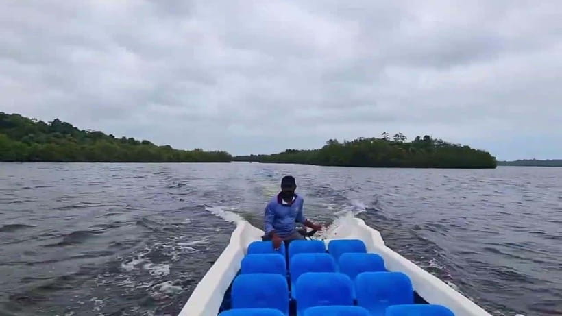 Explore Bentota River:Safari Tour with Hotel Pickup&Drop-off - Practical comfort on the boat