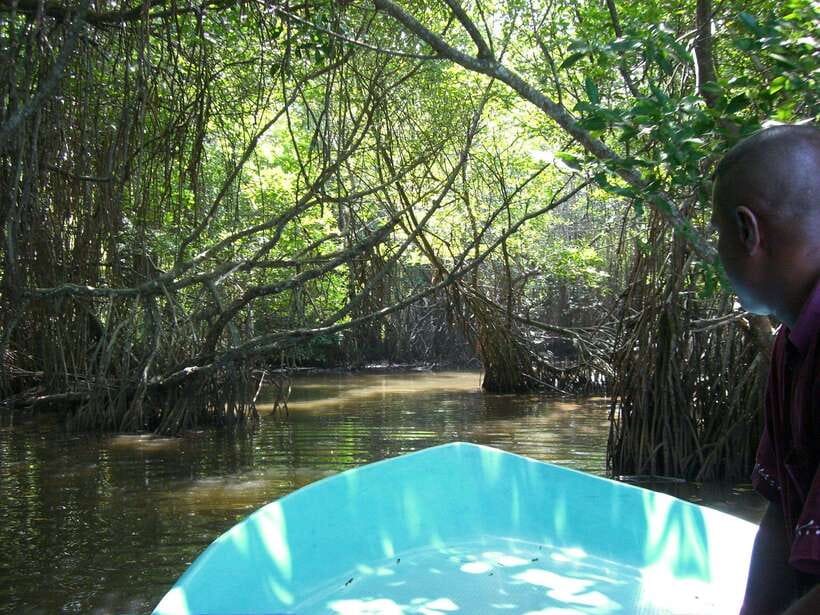 Explore Bentota River:Safari Tour with Hotel Pickup&Drop-off - Booking area and cancellation flexibility