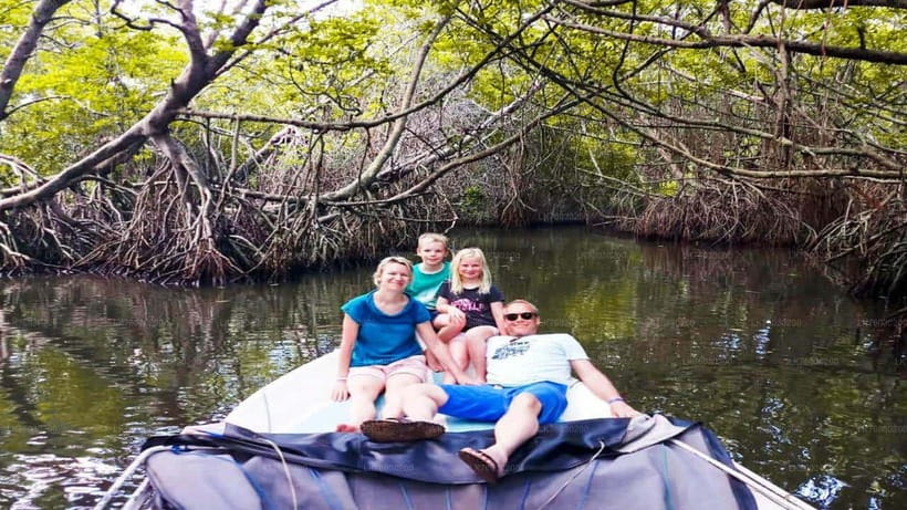 Explore Bentota River:Safari Tour with Hotel Pickup&Drop-off - Mangrove channels and river wildlife