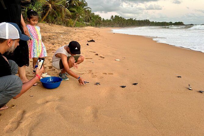 Explore Bentota Village: Guided Tuk Tuk Safari - Who will enjoy this Bentota outing most