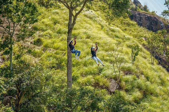 Explore Beyond the Ordinary - Tea Country and the Horton Plains Walk