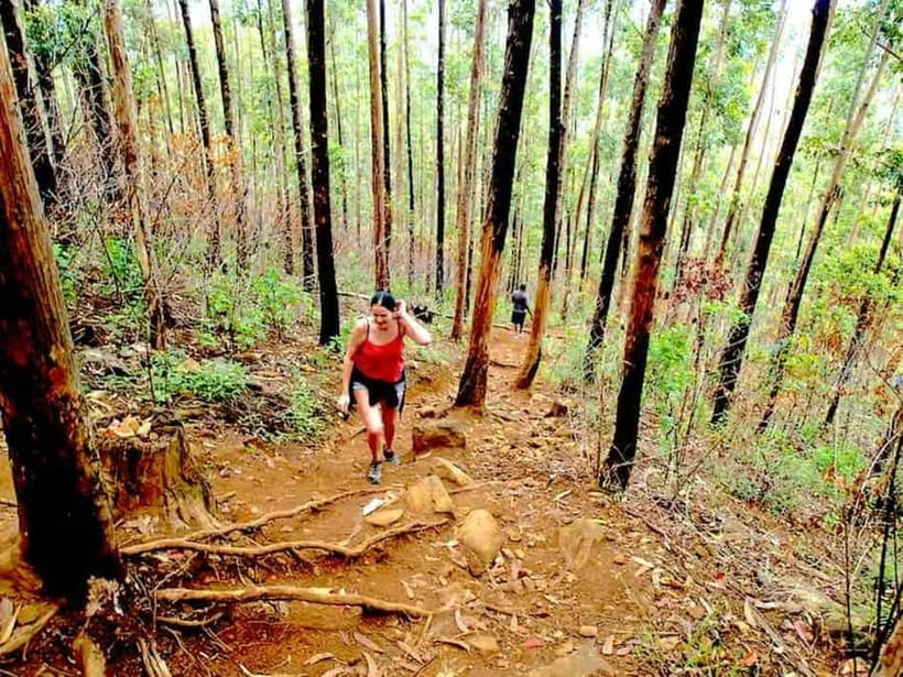 Explore Ella: Rock Hike, Loop, Falls, Nine arch & Train View - Starting from Ella and setting the pace