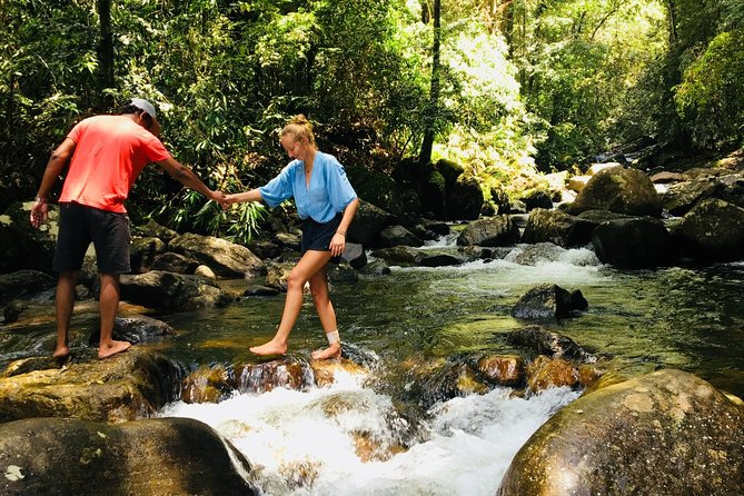 Explore Singharaja Forest Reserve (mirissa/weligama & Galle) - Key points at a glance