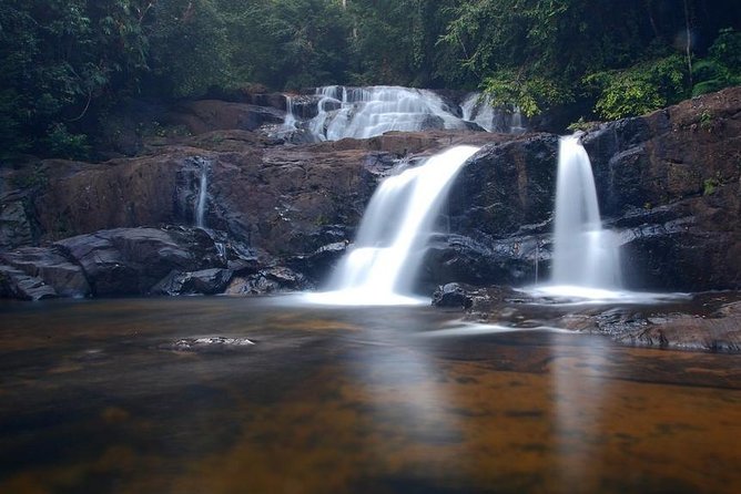 Explore Singharaja Forest Reserve (mirissa/weligama & Galle) - Who will enjoy this outing most