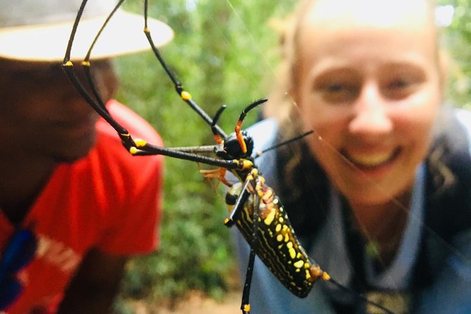 Explore Singharaja Forest Reserve (mirissa/weligama & Galle) - At the Sinharaja Forest entrance