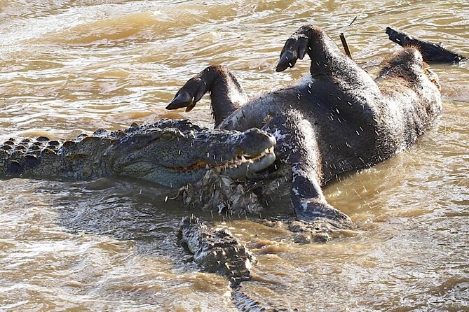 Explore The Beauty Of Udawalawe National Park From South Coast During 01 Day - Timing, comfort, and practical limits
