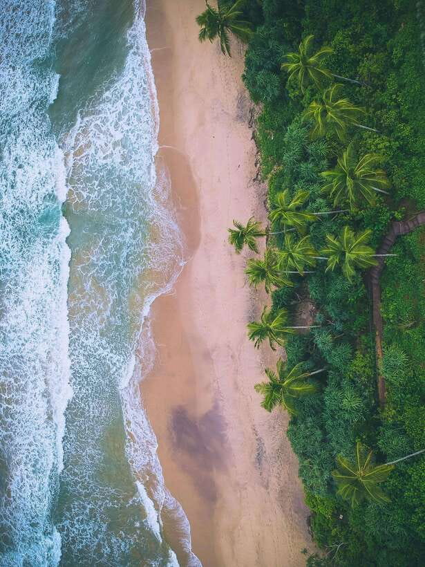 Explore the MAGIC of Sri Lanka in 7days -4 Star hotels Incl. - Why this seven-day route works