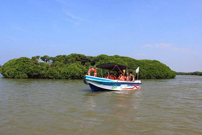 Fishing Village & Mangrove Tour Experince at Negombo (Starting from Colombo) - Mangroves, monkeys, and the value of a private boat