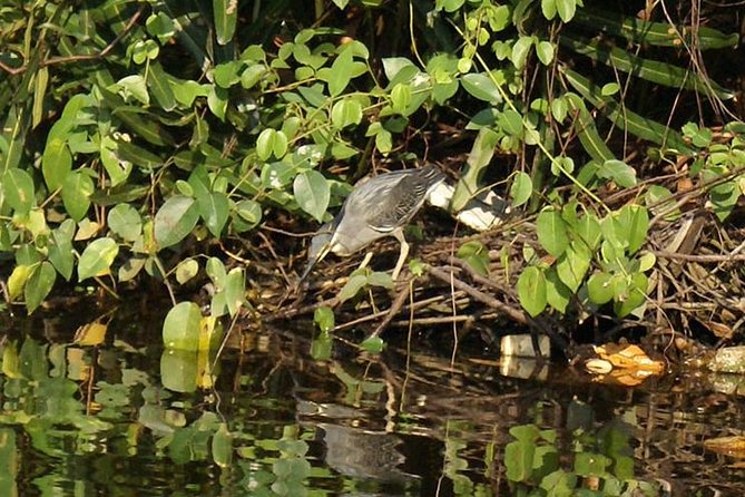 Fishing Village & Mangrove Tour Experince at Negombo (Starting from Colombo) - What the $115.58 price really covers
