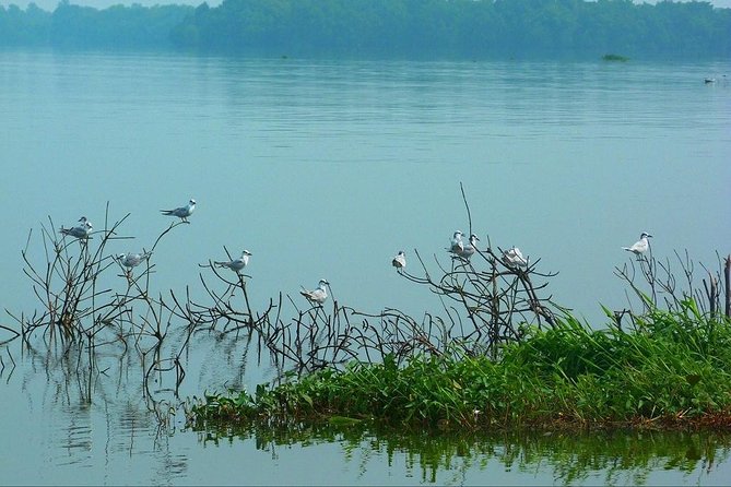 Fishing Village & Mangrove Tour Experince at Negombo (Starting from Colombo) - Timing, comfort, and what to bring