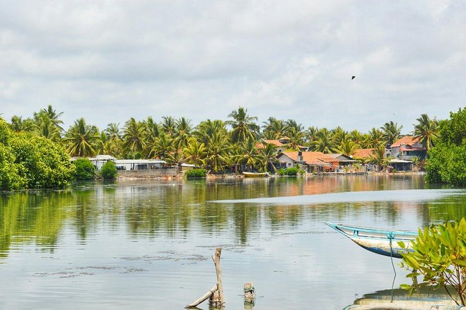 Fishing Village & Mangrove Tour Experince at Negombo (Starting from Colombo) - Two hours on Negombo Lagoon