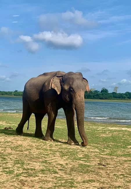 From Anuradhapura: Wilpattu National park Safari - Entering Wilpattu before the crowds build