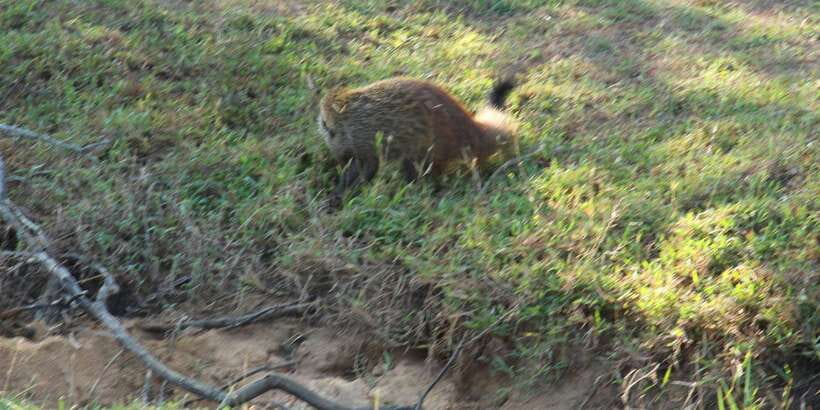 From Arugambay : Yala National Park Safari & Dropoff in Ella - The final drop-off in Ella