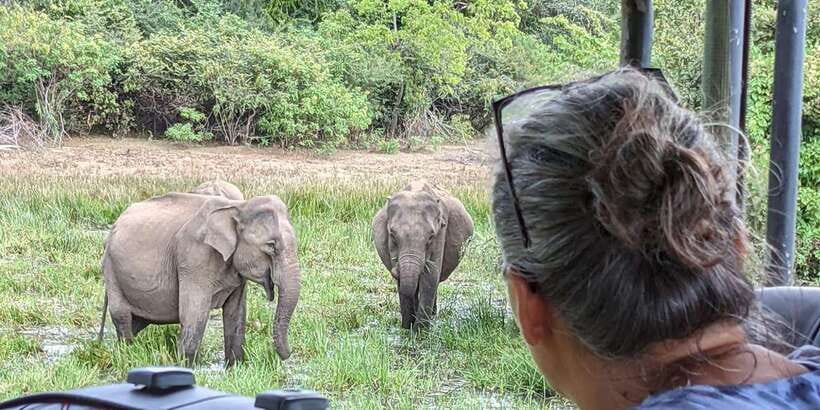 From Arugambay : Yala National Park Safari & Dropoff in Ella - Photography without losing the moment