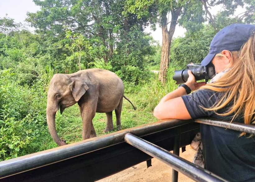 From Bentota: Elephant Transit Camp and Udawalawe Safari - Unawatuna Beach brings a short coastal pause