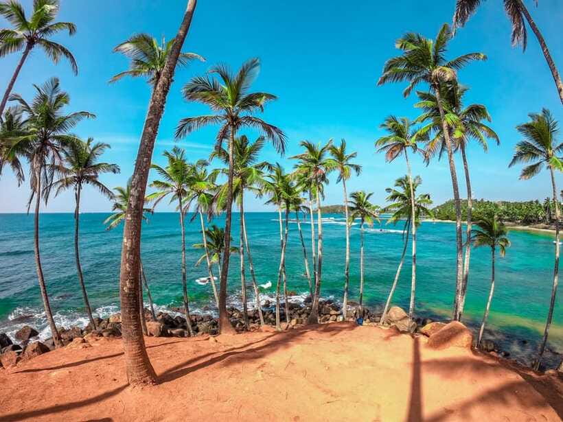 From Bentota: Elephant Transit Camp and Udawalawe Safari - Is $125 good value for this full-day route?