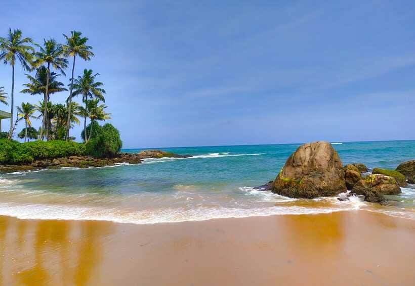 From Bentota: Elephant Transit Camp and Udawalawe Safari - Who should book this day out?