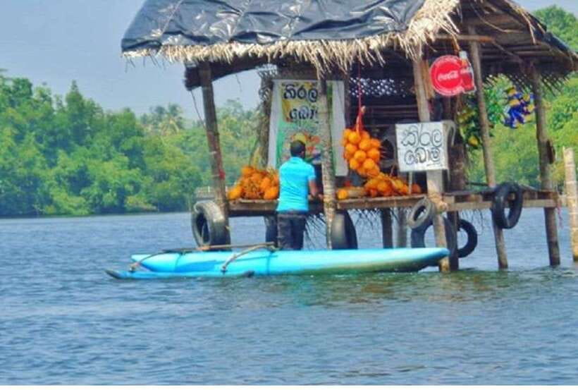 From Bentota: Exclusive Madu River Safari & Turtle Hatchery - Temple Island brings a quiet cultural pause