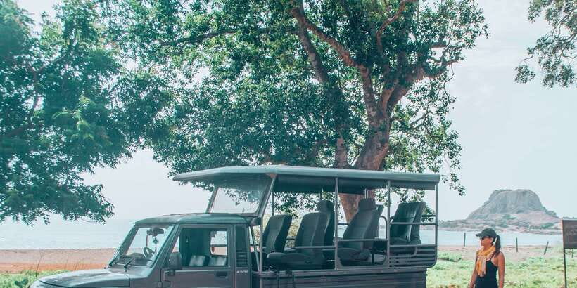 From Bentota: Full-Day Yala National Park Safari Tour - Is $105 a fair price?