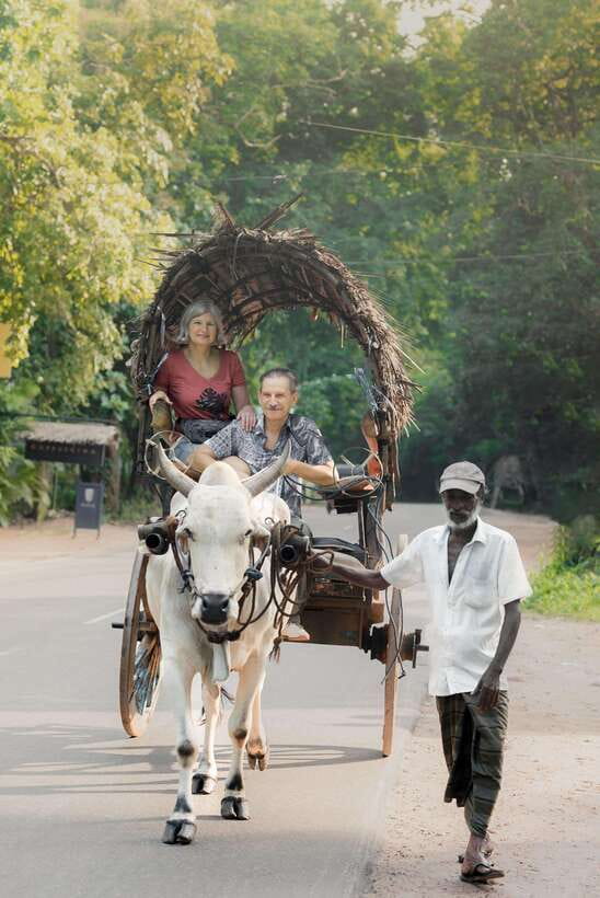 From Bentota: Sigiriya and Dambulla Day Trip and Safari - Transport, timing and the practical side of the day