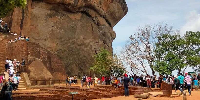 From Bentota: Sigiriya Lion Rock & Dambulla Cave Temple Tour - What the $218 private price really covers