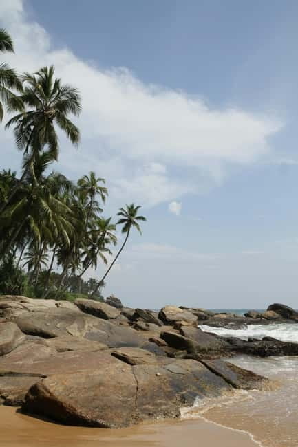 From Colombo: 10 Day Sri Lanka Tour with Guide and Hotel - Day 6: Tea country, Ramboda Falls, and Nuwara Eliya