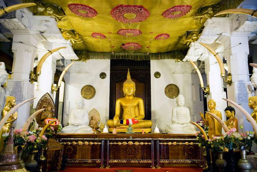 From Colombo: 2-Day All-Inclusive Kandy & Nuwara Eliya Tour - Key points to know before booking