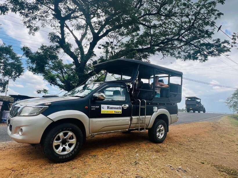 From Colombo: 4-Day Sri Lanka Round Tour with Airport … - Day two: Matale and Kandy’s cultural center