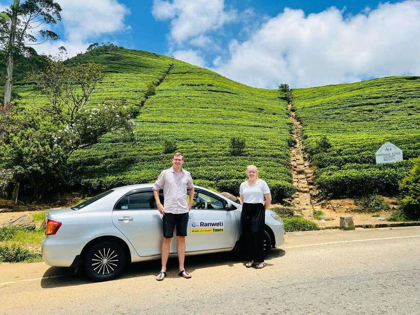 From Colombo: 4-Day Sri Lanka Round Tour with Airport … - Day one: Sigiriya, Dambulla, and a Minneriya safari
