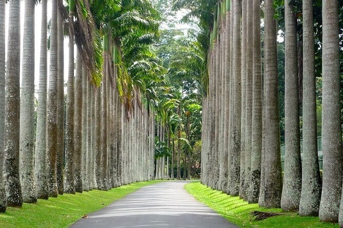 From Colombo Airport to Sigiriya or Kandy Private Transfer - Sigiriya arrival and hotel drop-off