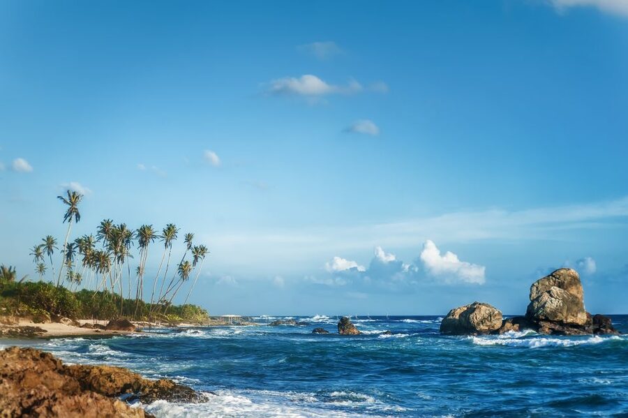 From Colombo: Day Trip to Galle City, Koggala and Unawatuna - Who will enjoy this day trip most