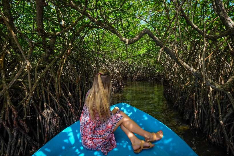 From Colombo: Galle, Bentota Coastal Highlights Private Tour - Why this southern coast day trip works