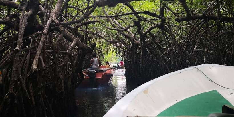 From Colombo: Handungoda, Galle, Ahangama, & Kosgoda Tour - What the $110 price really buys
